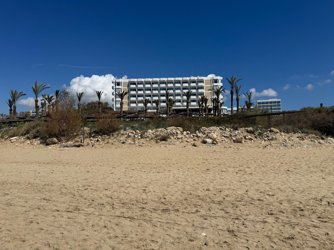 阿里恩海滩酒店主图