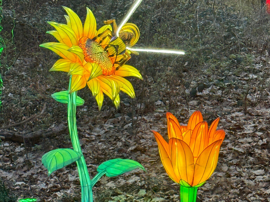 Gartenschau Bad Lippspringe-Bad Lippspringe必去景点