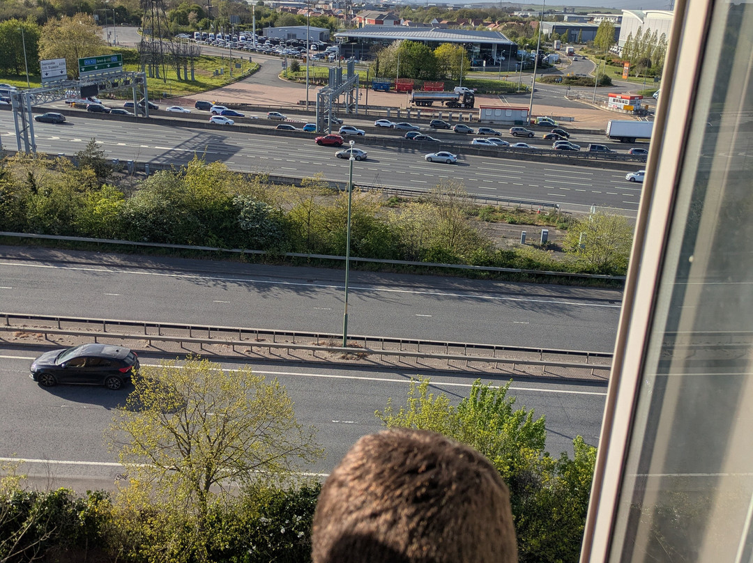 达特福德桥希尔顿逸林酒店主图