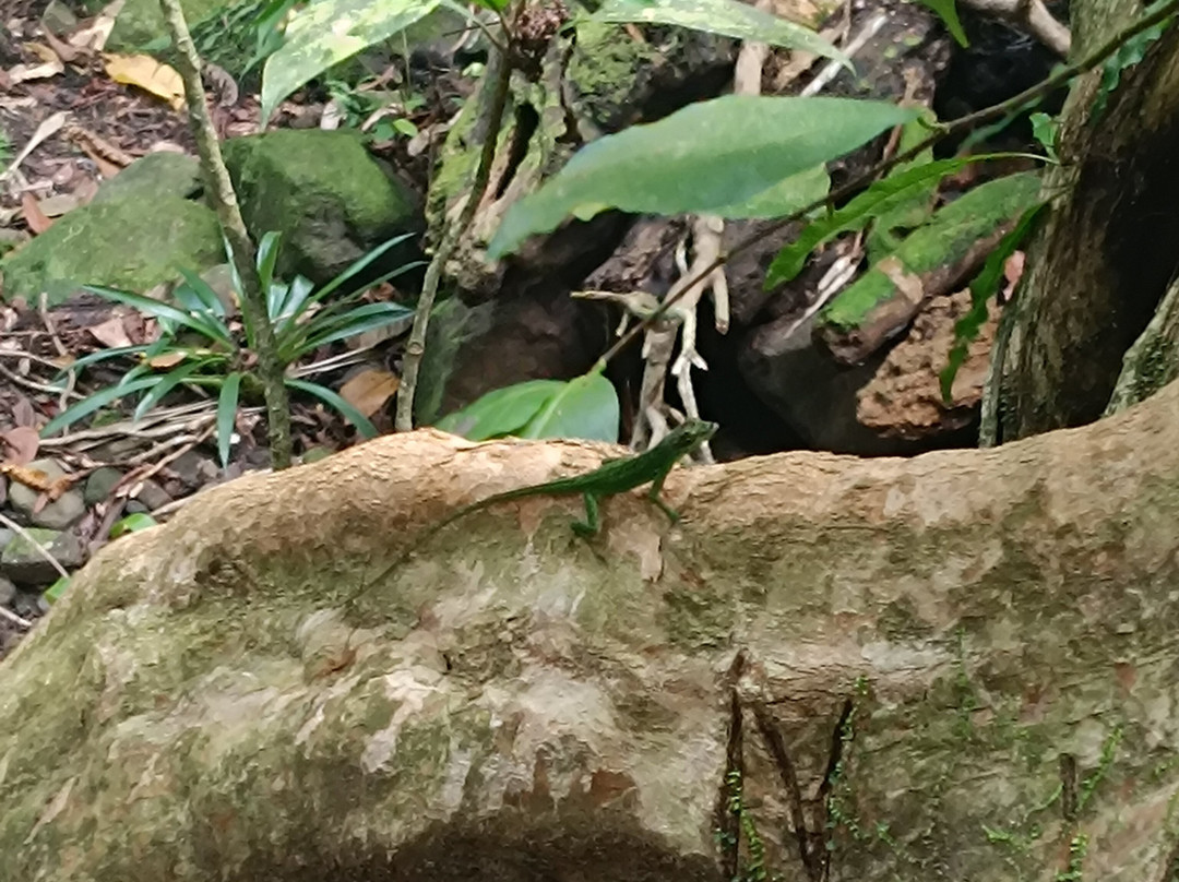 Cascade Couleuvre-Le Precheur必去景点