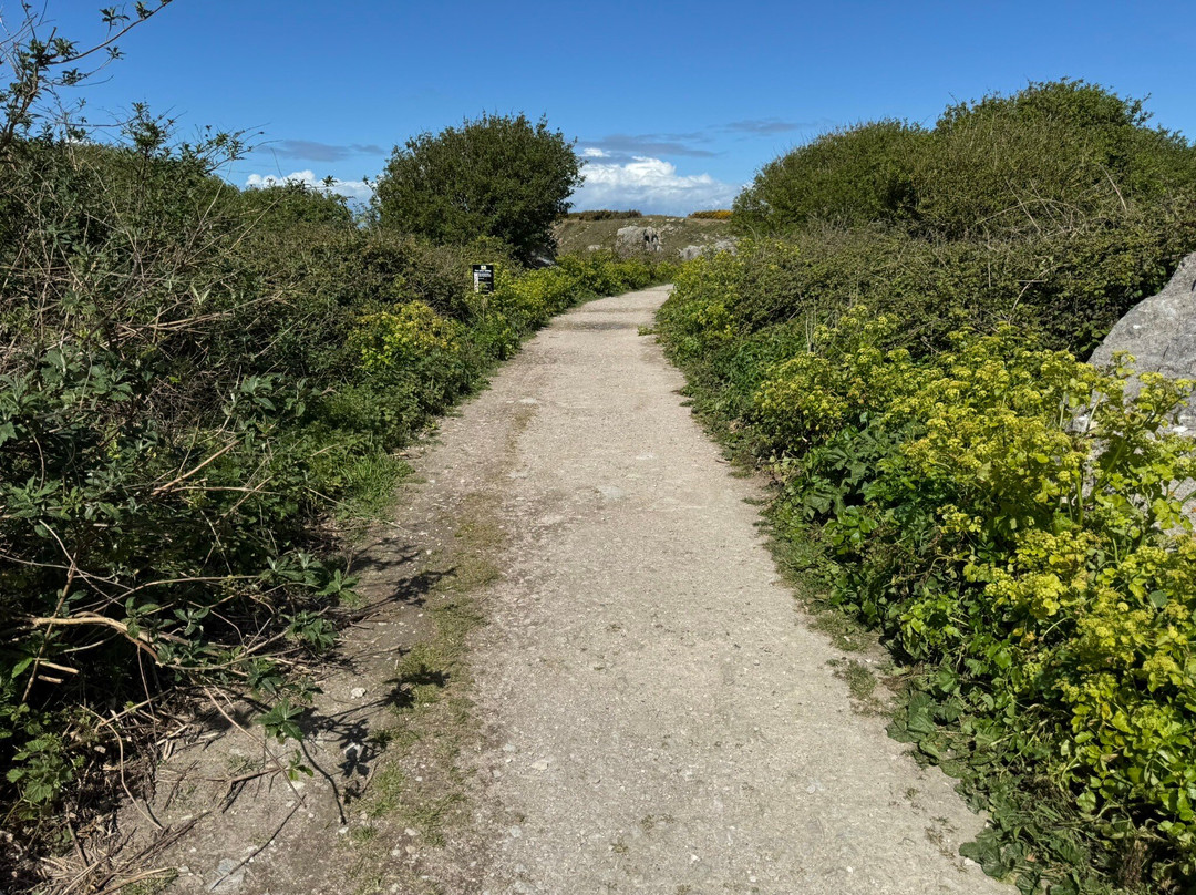 Tout Quarry Sculpture Park and Nature Reserve-Isle of Portland必去景点