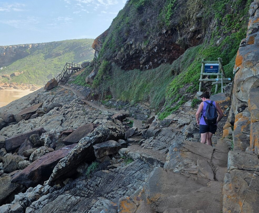 Robberg Nature Reserve-普利登堡湾必去景点