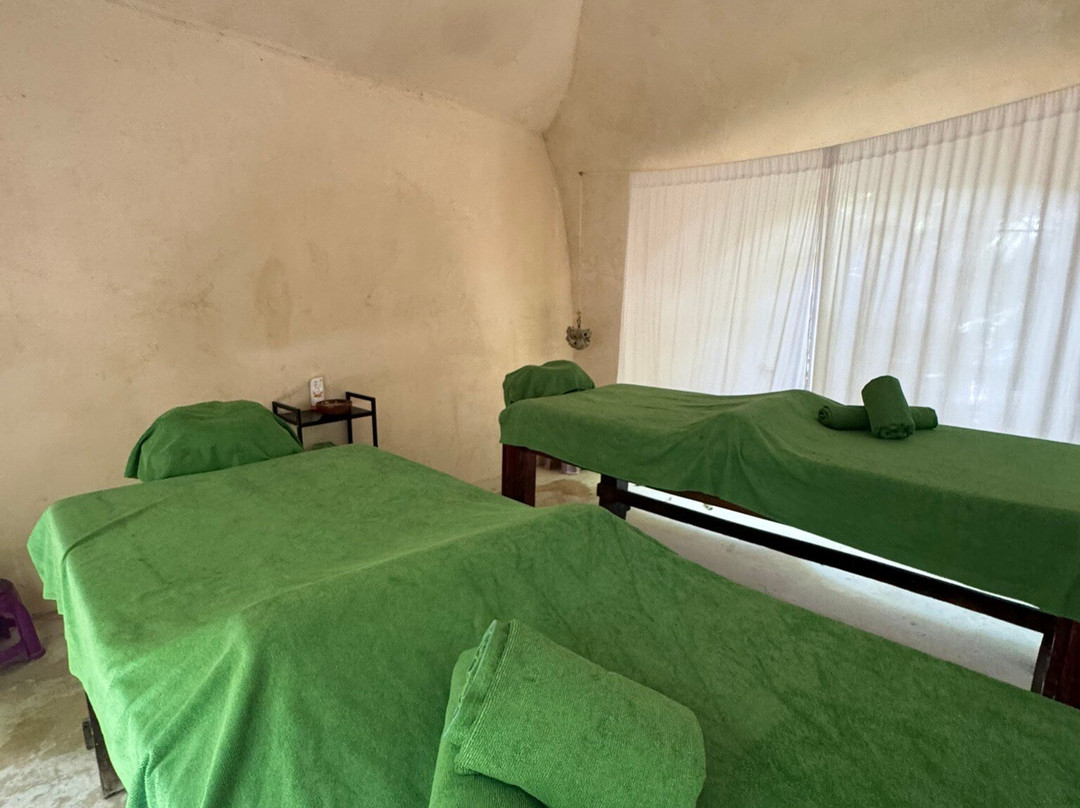 Los Colibries Mayan Jungle Spa-从莫雷洛斯港必去景点