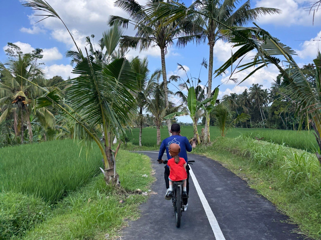 Jatiluwih Cycling & E-bike Tours With Bali By Pedals-达巴南必去景点