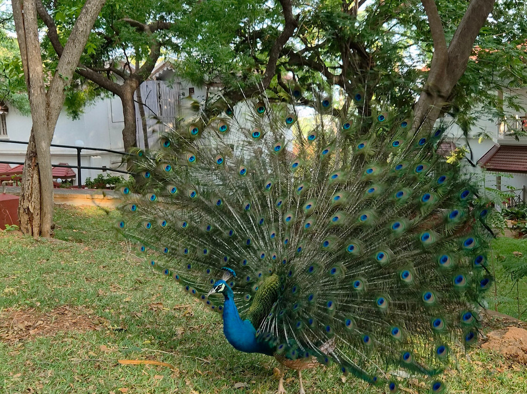 Gateway马杜赖主图