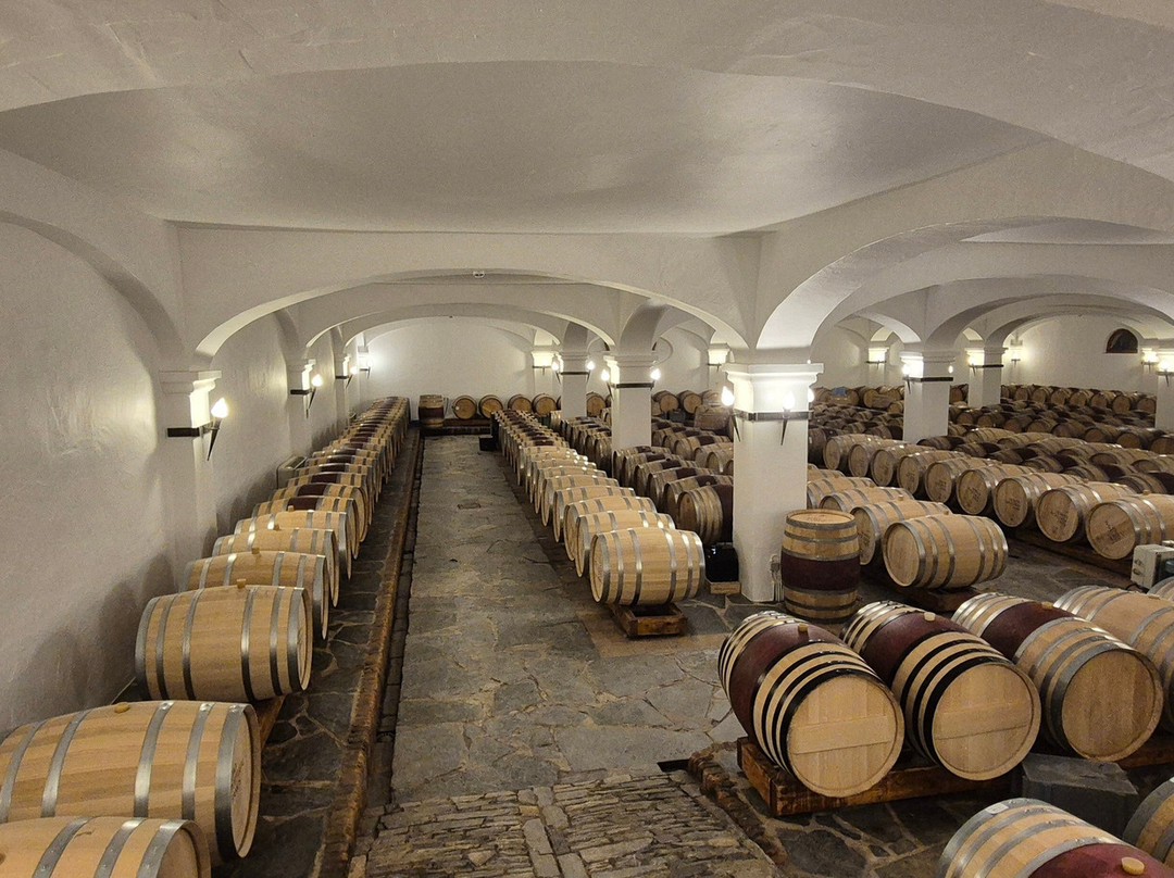 Joao Portugal Ramos Wines-Estremoz必去景点