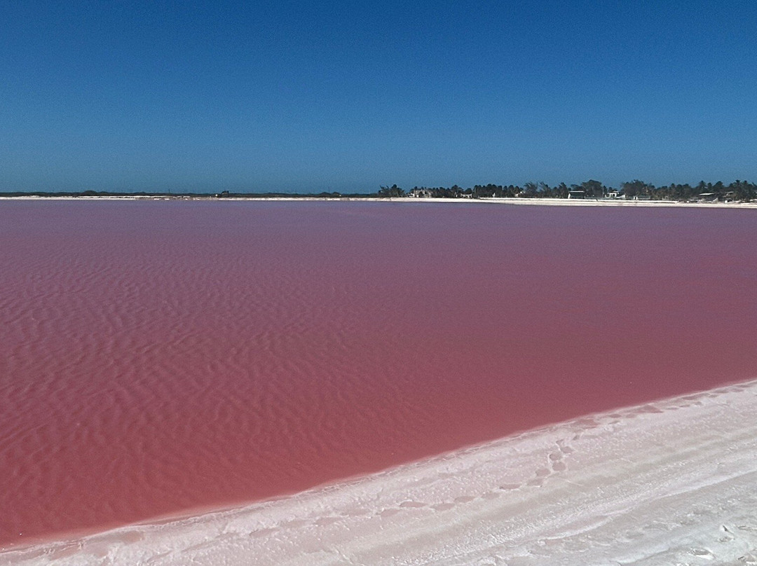 Las Coloradas-里奥拉加托斯必去景点