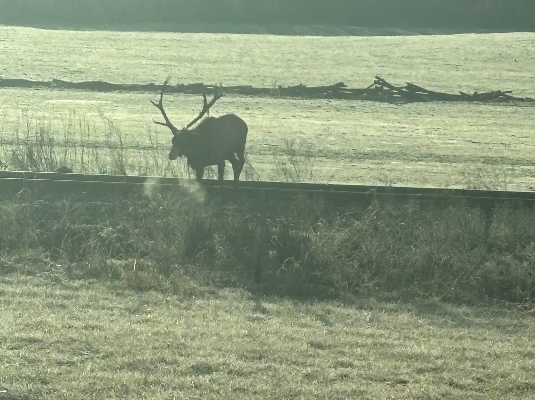 蓝岭公路-北卡罗莱纳山必去景点