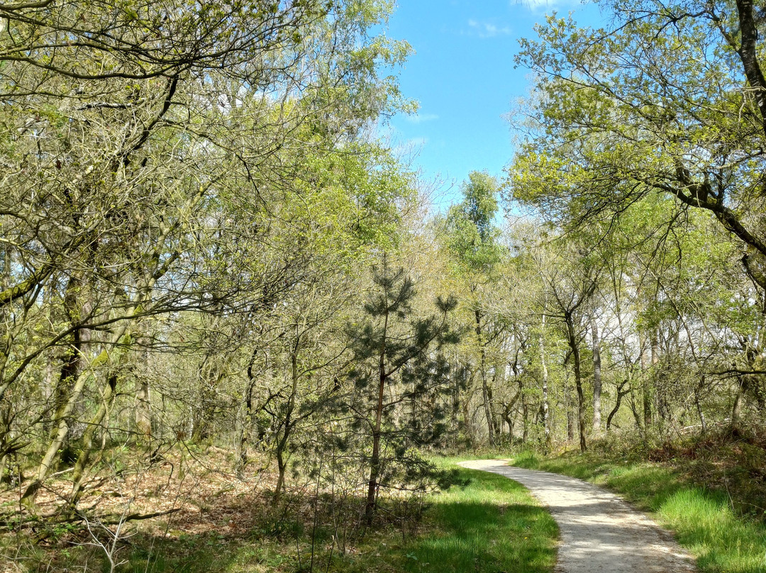 维尔里布罗德哈伊格赫弗莱彻克洛斯特酒店主图