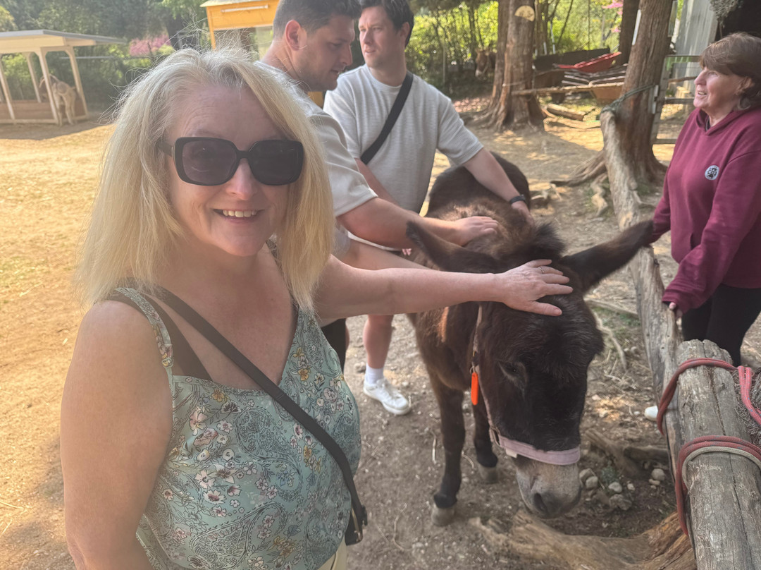 Corfu Donkey Rescue-Paleokastritsa必去景点