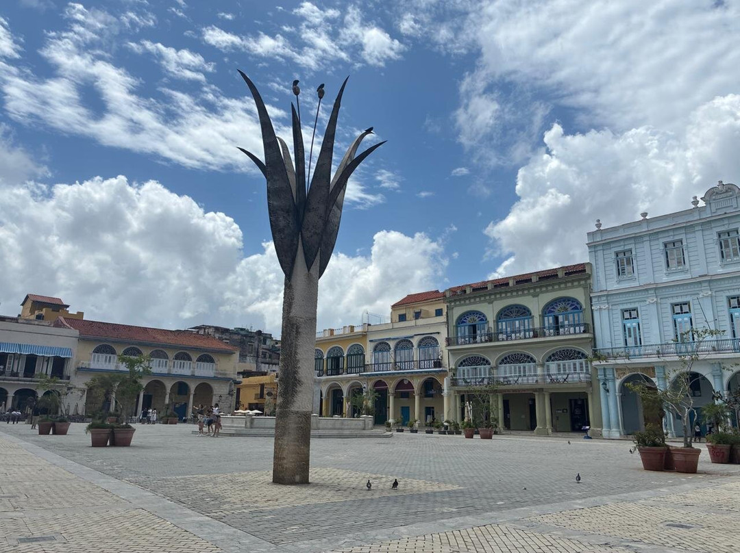 Criativa Turismo-Joao Pessoa必去景点