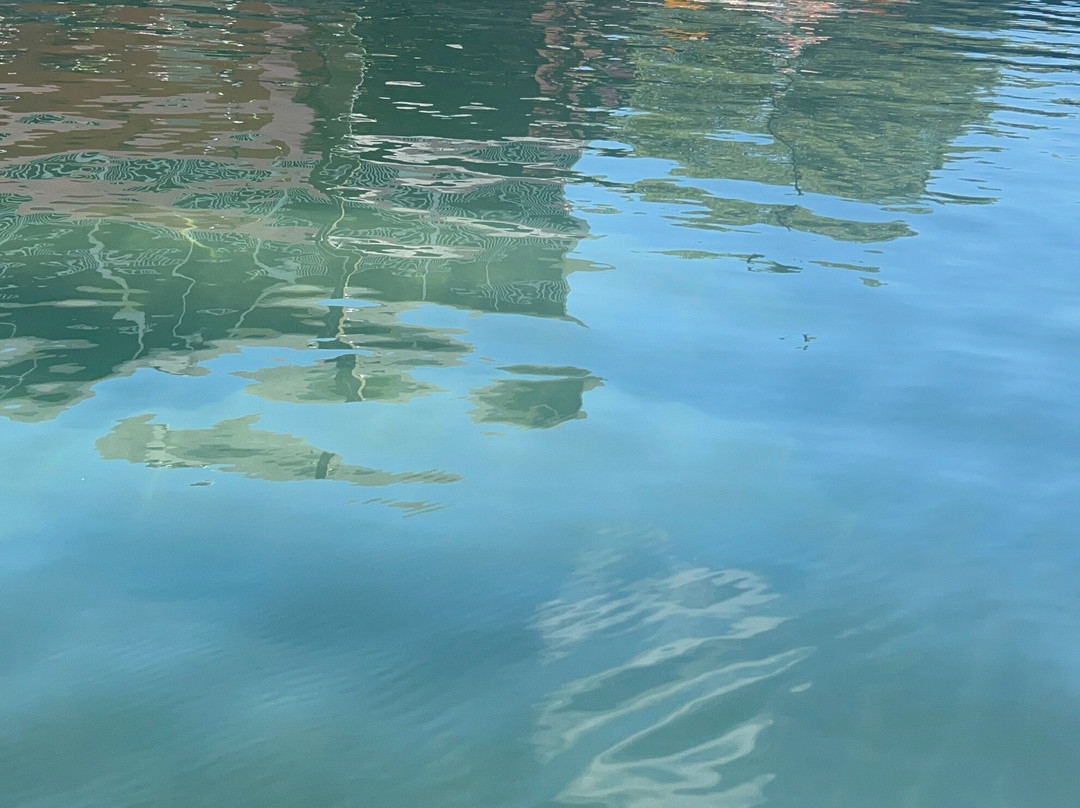 Weeki Wachee Kayaking-Weeki Wachee必去景点