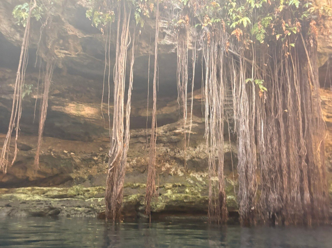 Cenote Lol-Ha-Yaxuna必去景点