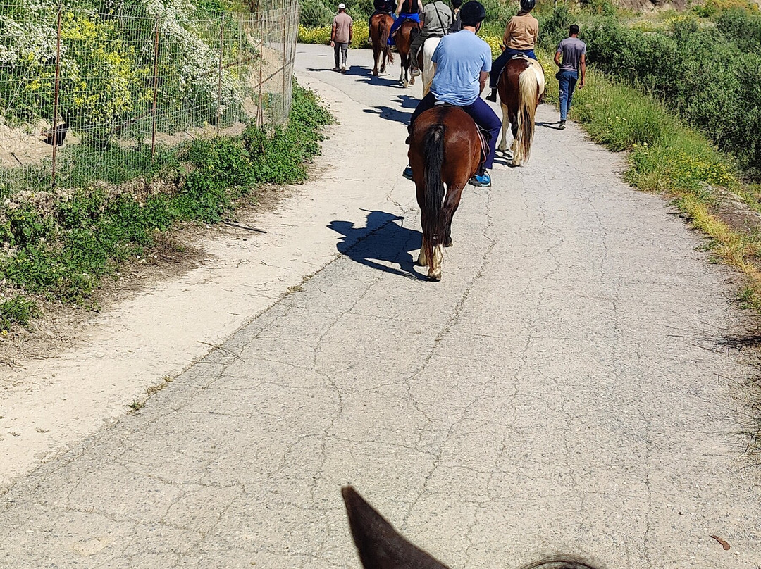 Finikia Horseriding-Finikia必去景点