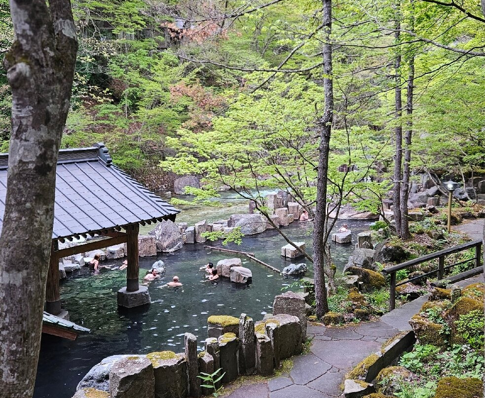 宝川温泉汪泉阁主图