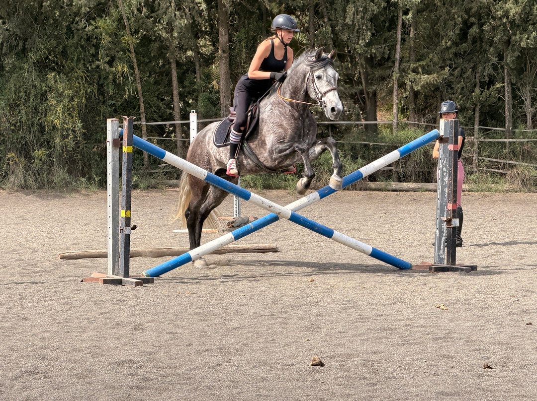 Club Hipic Julivert