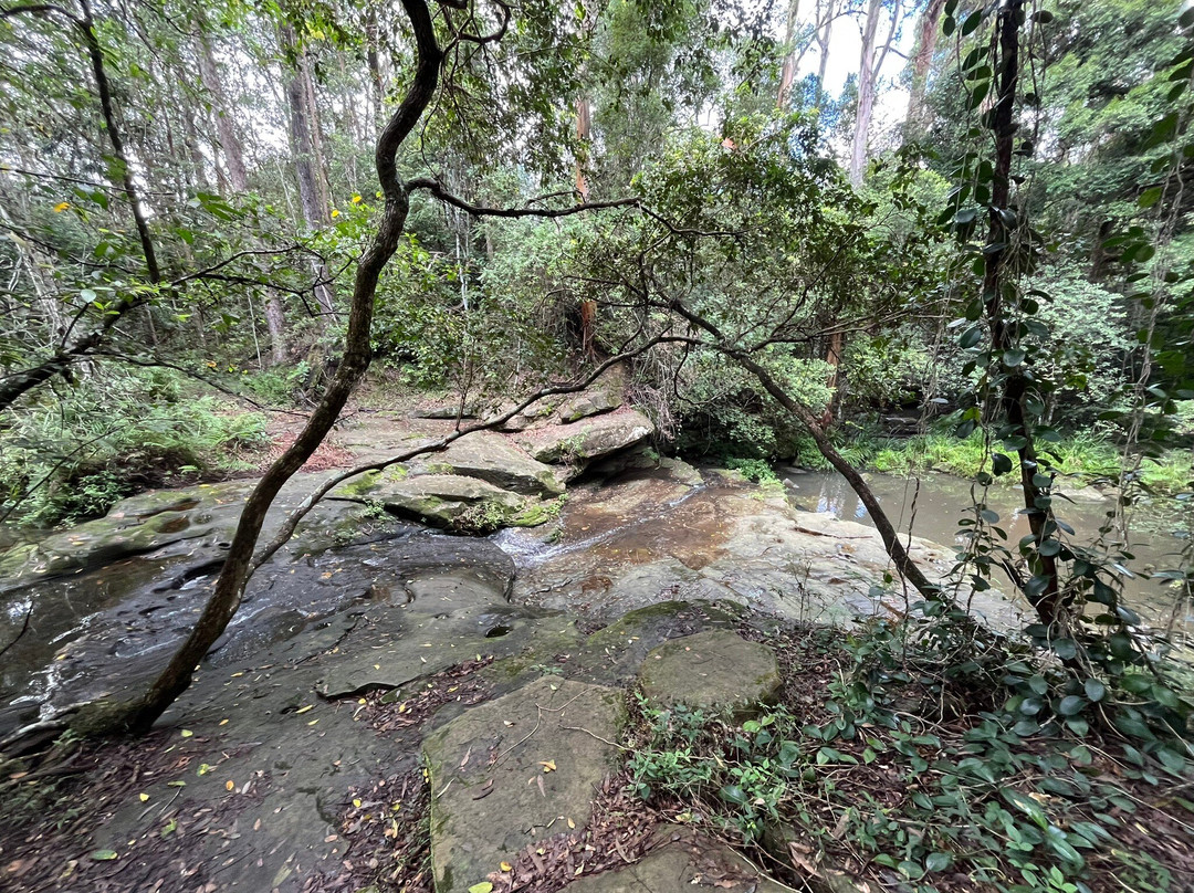 Little Rocky Creek-Landsborough必去景点