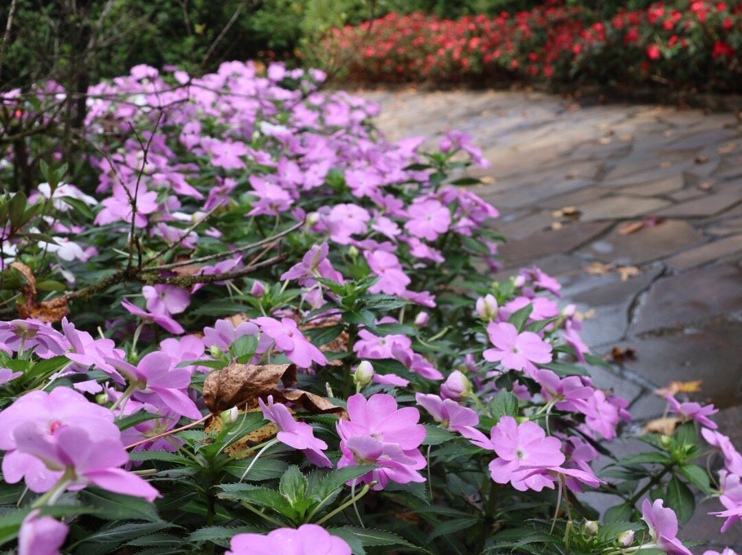 Garden Park Gramado-格拉玛多必去景点