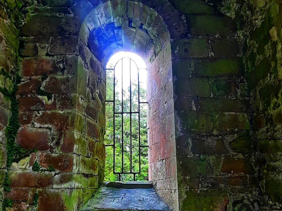 Boyle Abbey-Boyle必去景点