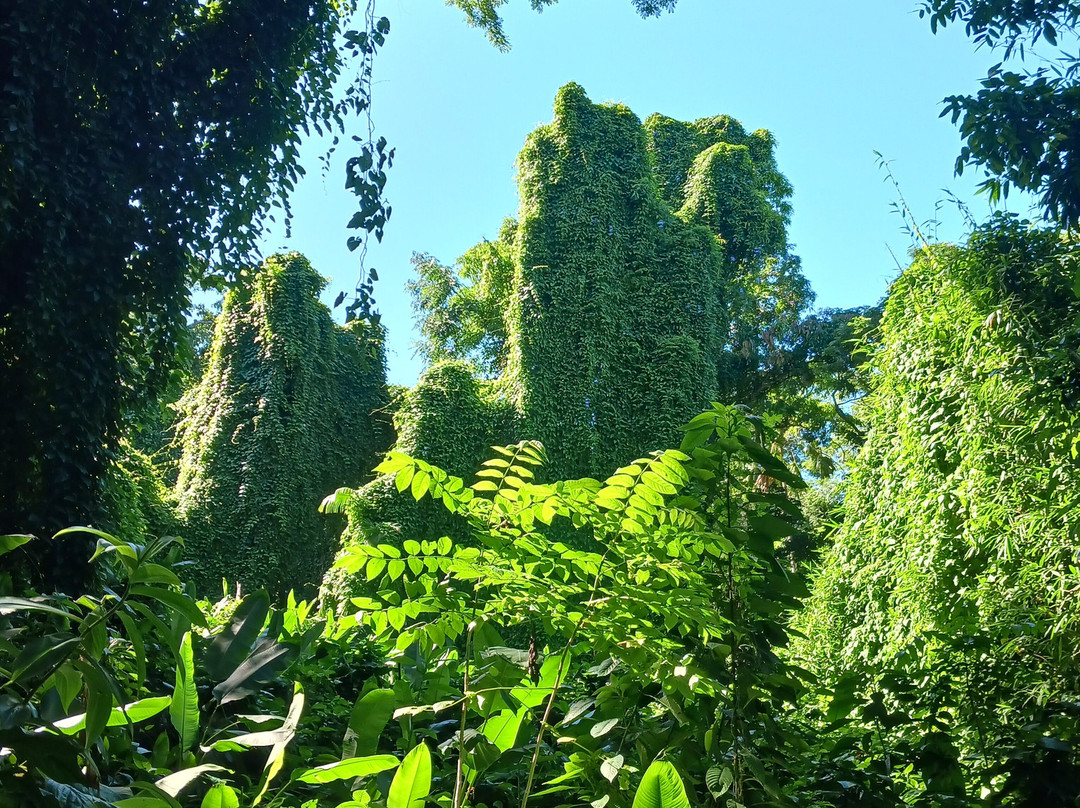 巨人的沉睡花园-纳迪市必去景点