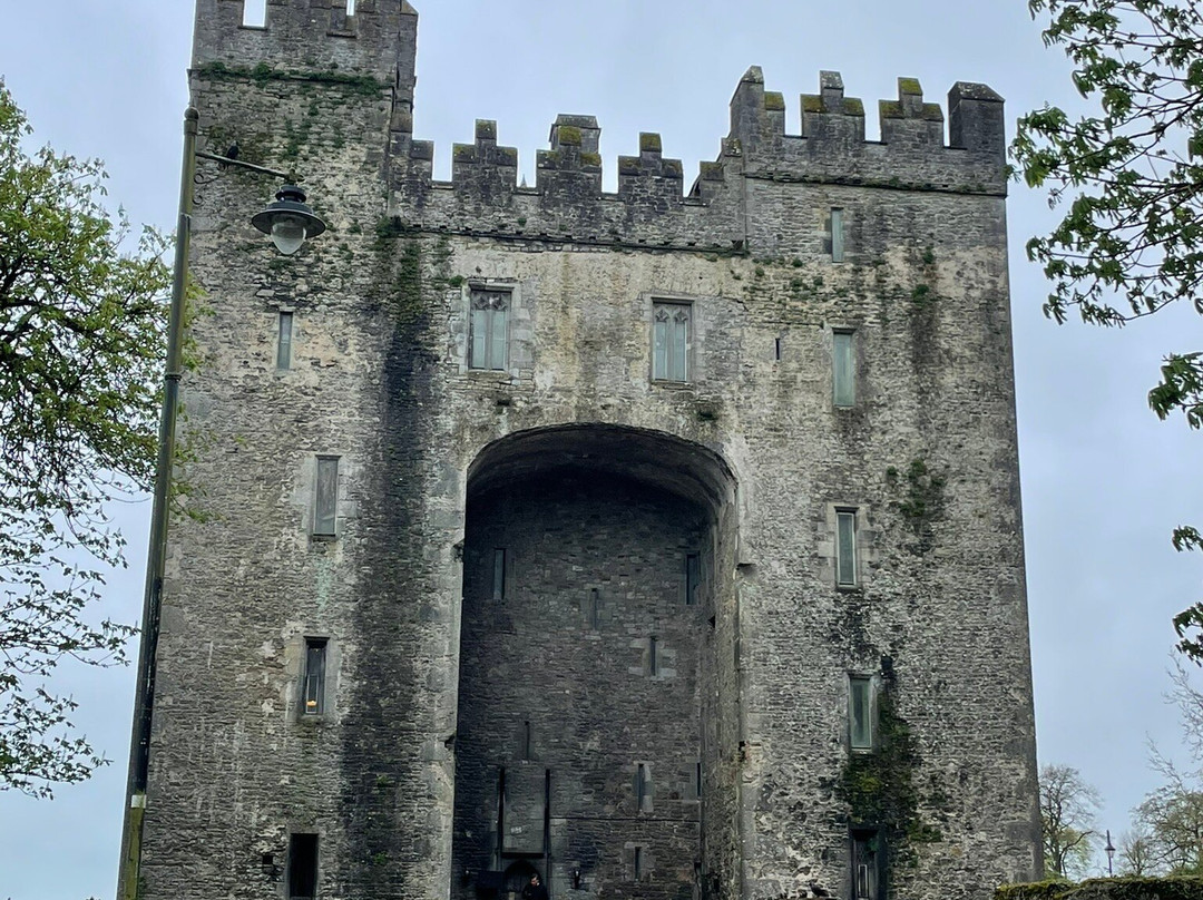 Small Escorted Tours Of Ireland-基尔肯尼必去景点