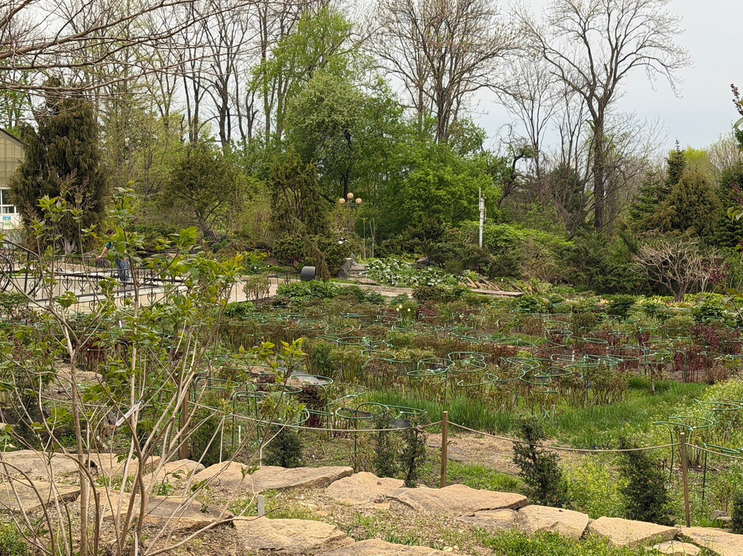 Botanical Garden-Institute-海参崴必去景点