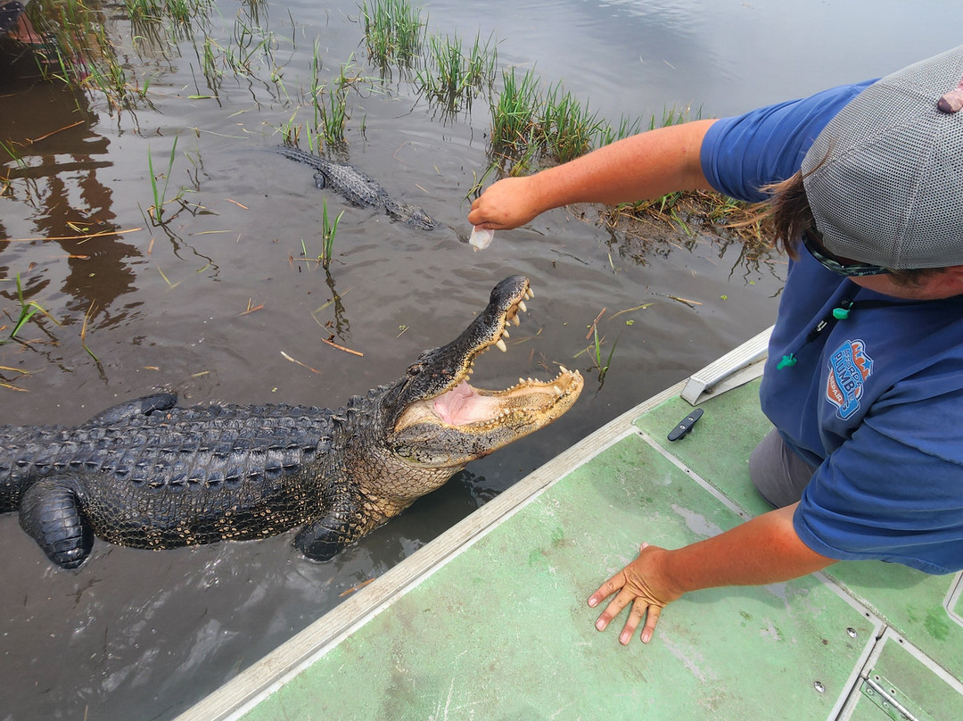 Ragin Cajun Airboat Tours-新奥尔良必去景点
