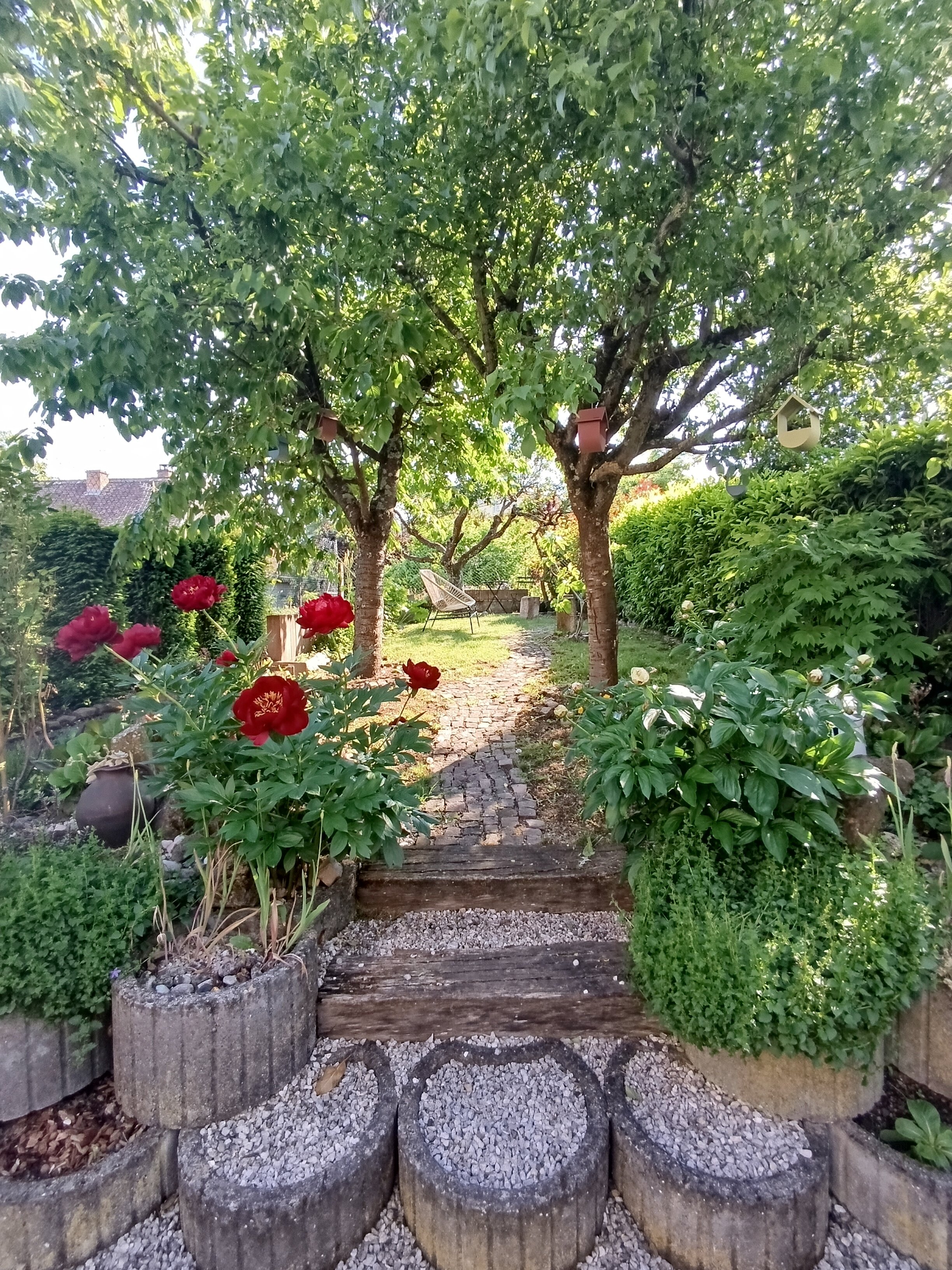 Mirabelle Bed & Breakfast-旅行者