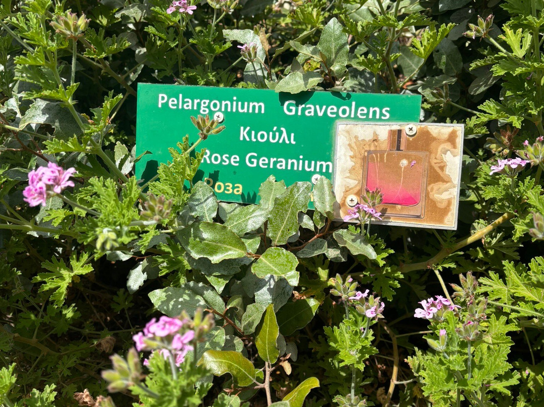 Cyherbia Botanical Park-Avgorou必去景点