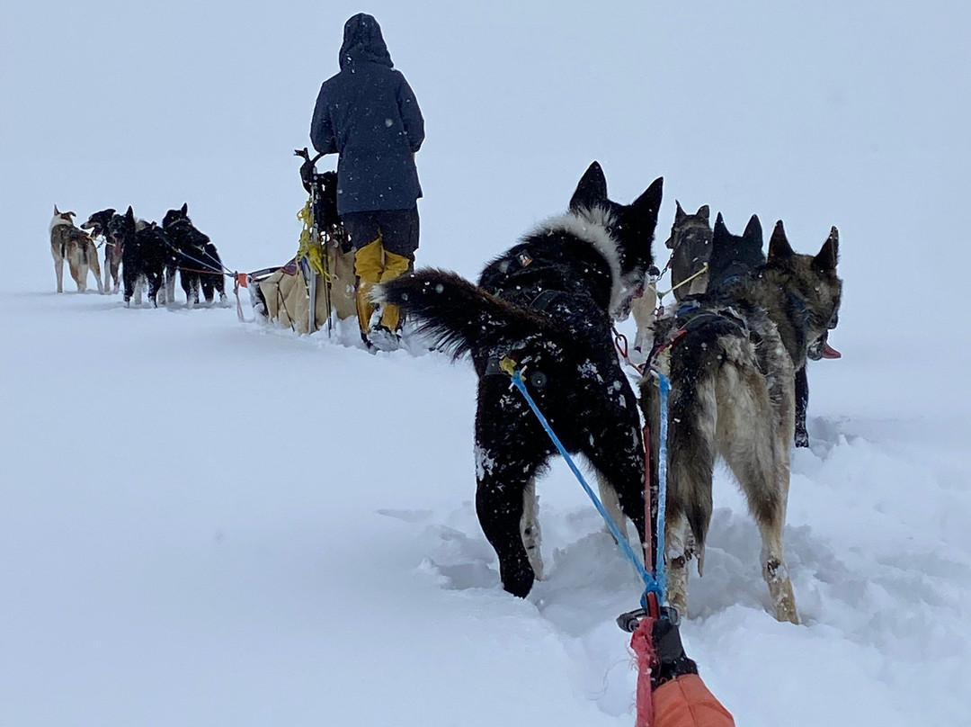 Beito Husky Tours Day Tours-Beito必去景点