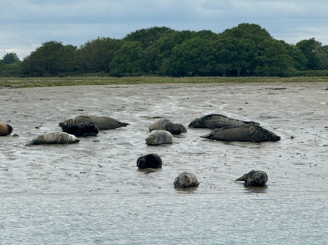Chichester Harbour Water Tours-West Itchenor必去景点
