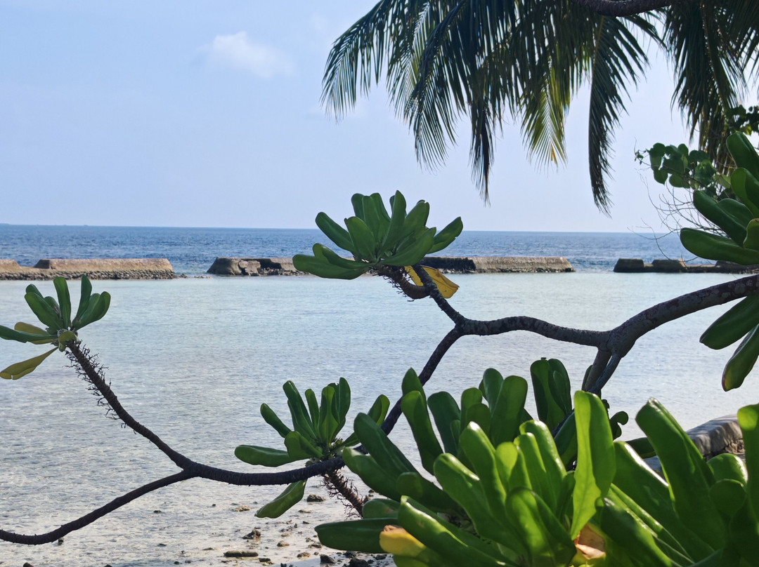 马尔代夫Ellaidhoo Cinnamon酒店主图