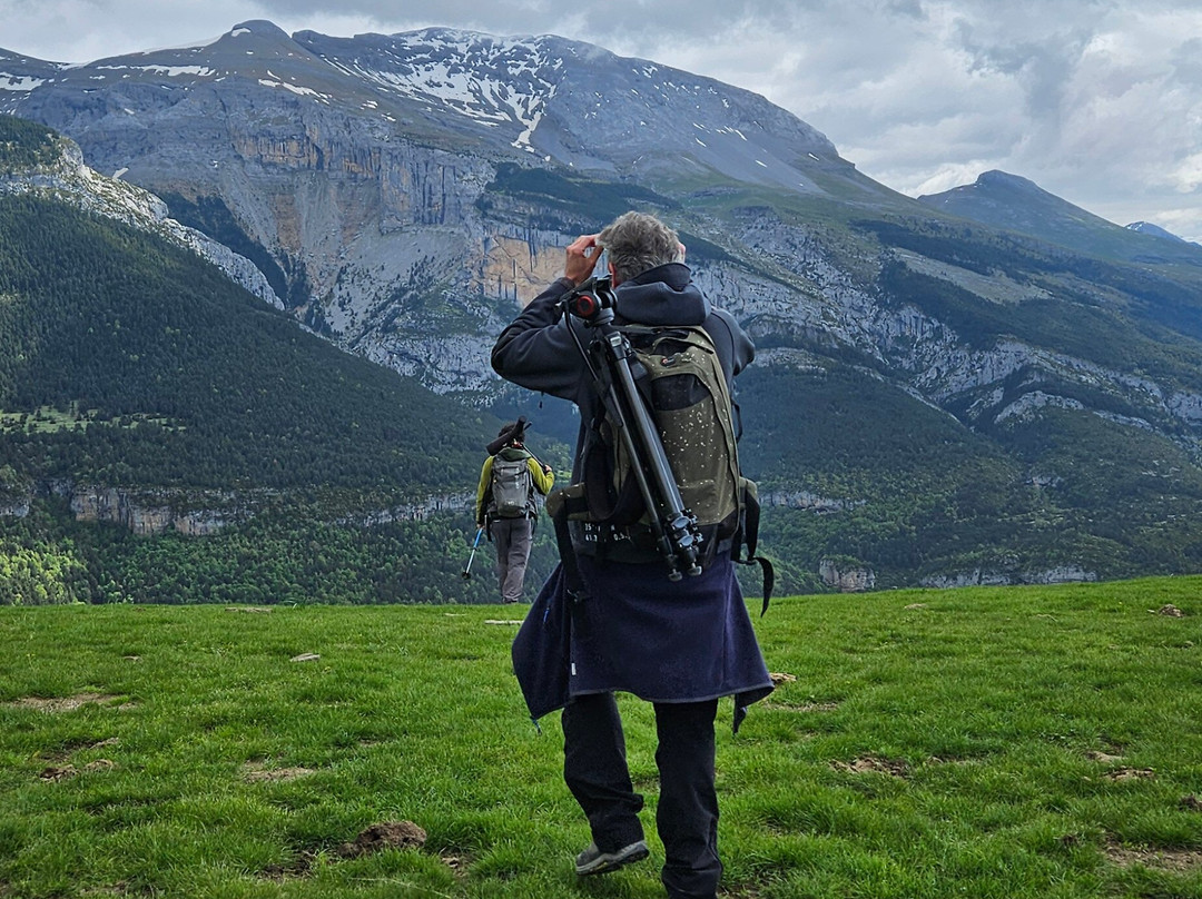 Senderos Ordesa-Ordesa y Monte Perdido National Park必去景点