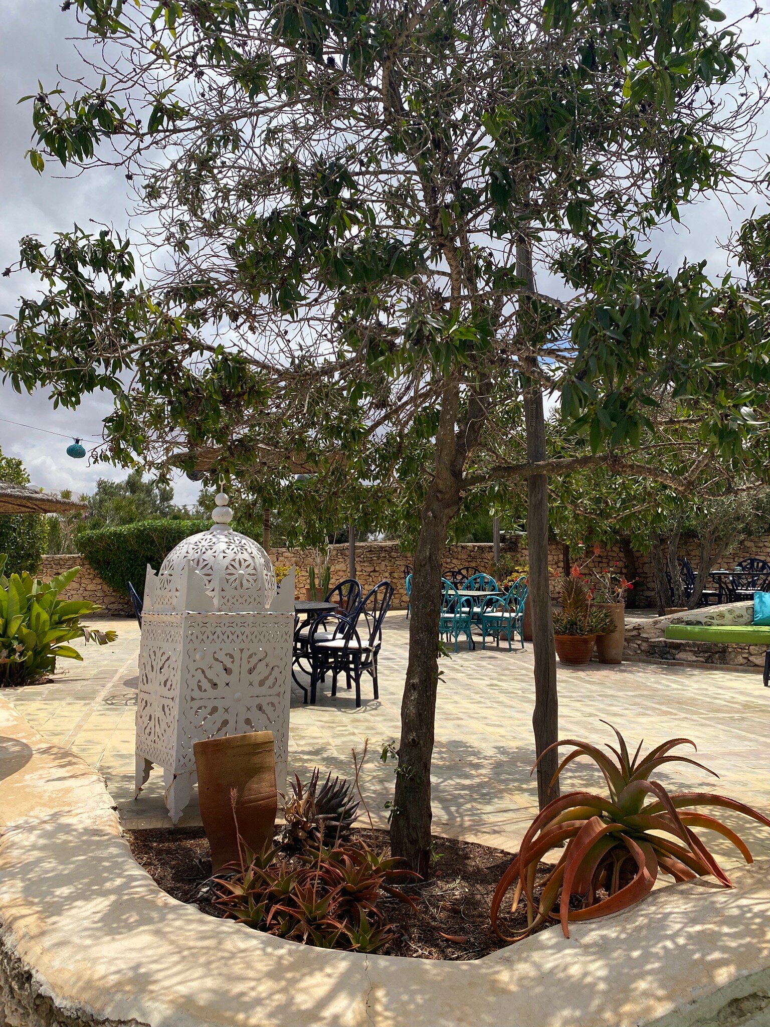 Les Jardins de Villa Maroc-旅行者