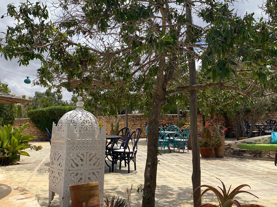 Les Jardins de Villa Maroc主图