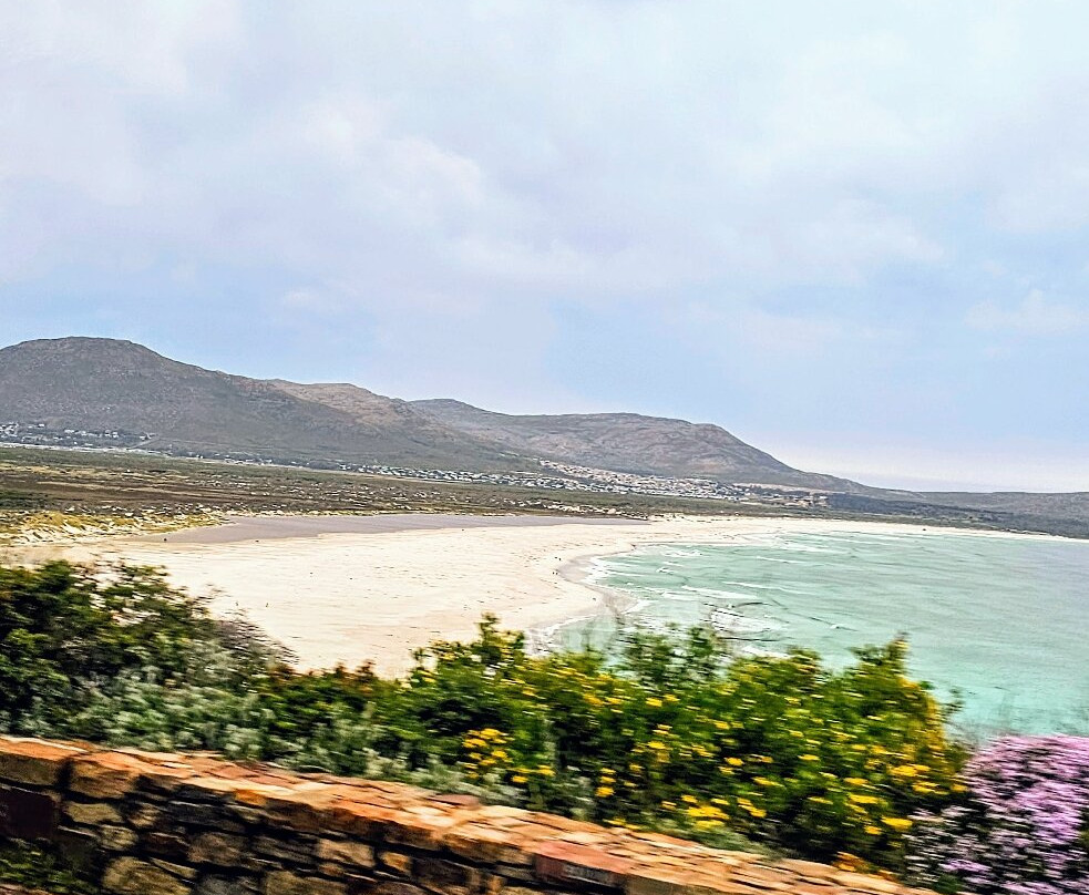 Chapman's Peak Drive-开普敦中心区必去景点