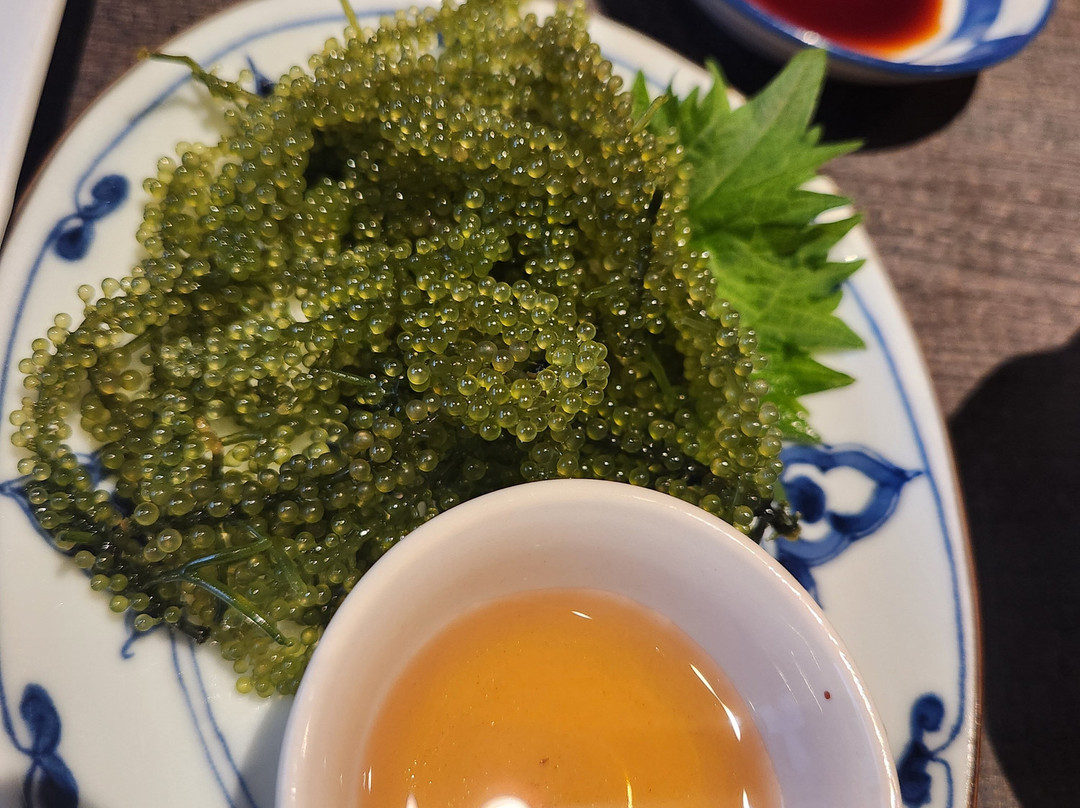 Ninja Food Tours-大阪市必去景点