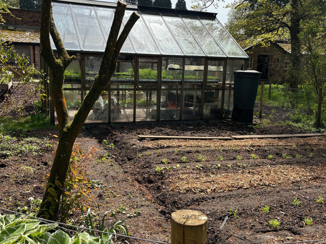 Hare Hill Park And Gardens-Over Alderley必去景点