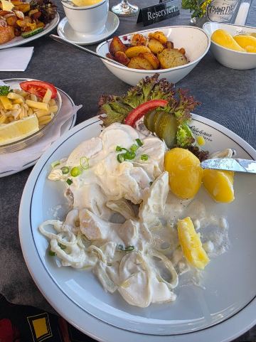 Faehrhaus Wischhafen-旅行者