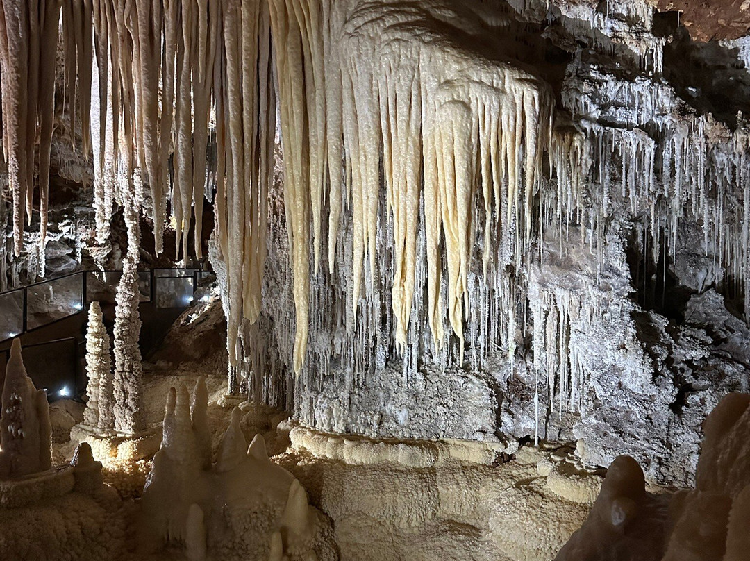 Grotte de Clamouse-Saint-Jean-de-Fos必去景点