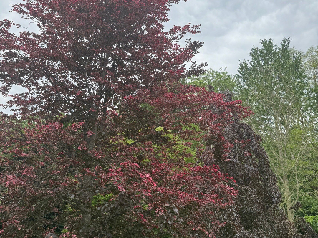 Klehm Arboretum & Botanic Garden-罗克福德必去景点