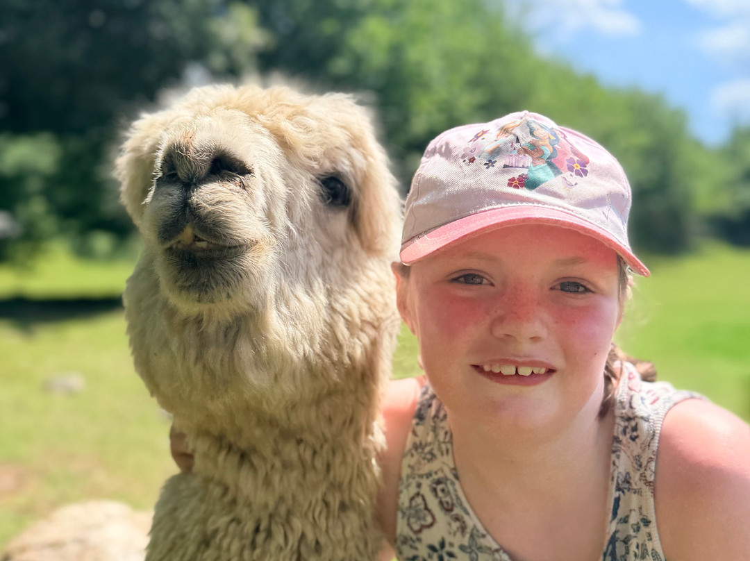 Lydford Gorge Alpacas-Lydford必去景点