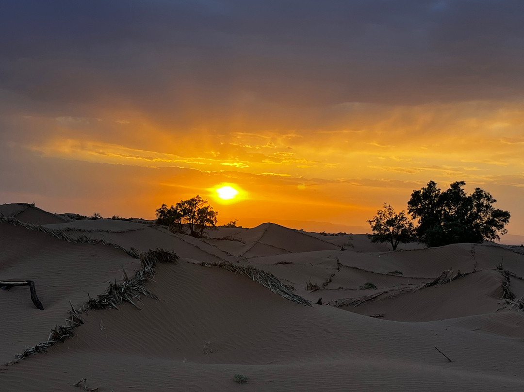 Loud Sahara Day Tours-扎古拉必去景点
