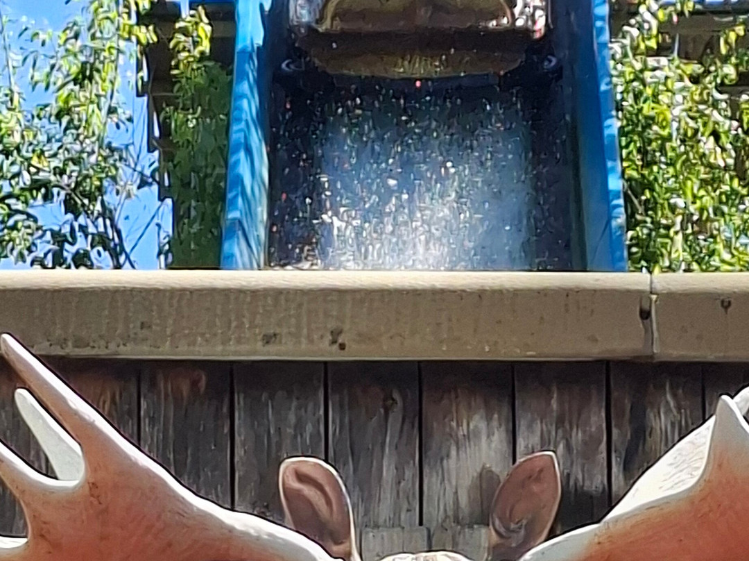 Freizeitpark Plohn-Lengenfeld必去景点