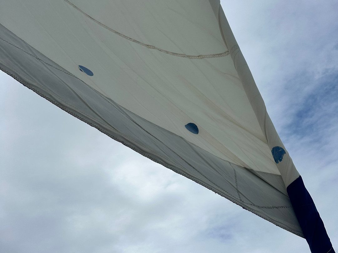Catch The Cat - Private Sailing Charters-Jolly Harbour必去景点