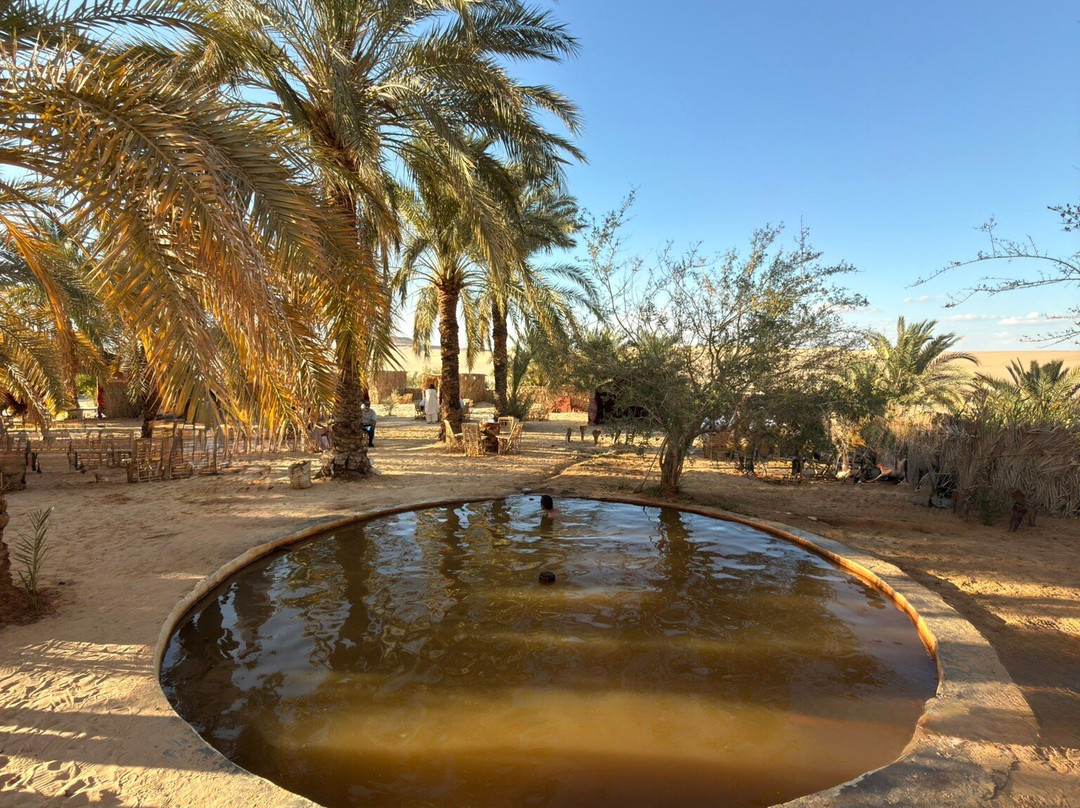 Cairo Top Tours-开罗必去景点