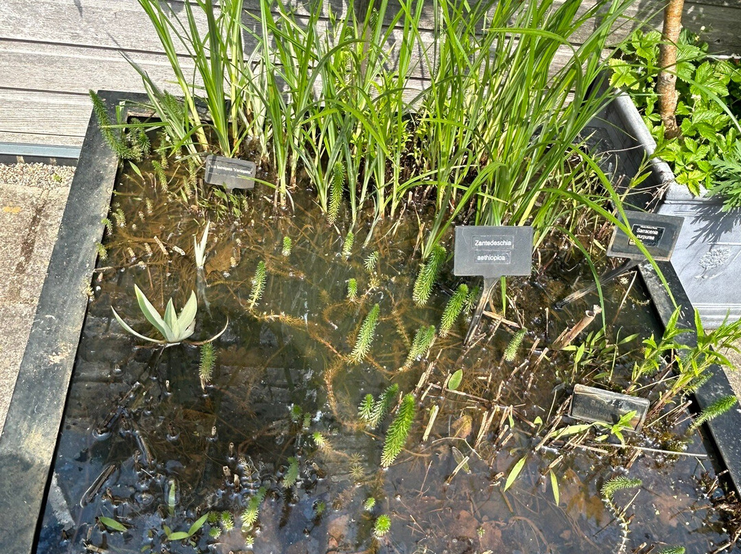 RHS Garden Harlow Carr-哈罗盖特必去景点