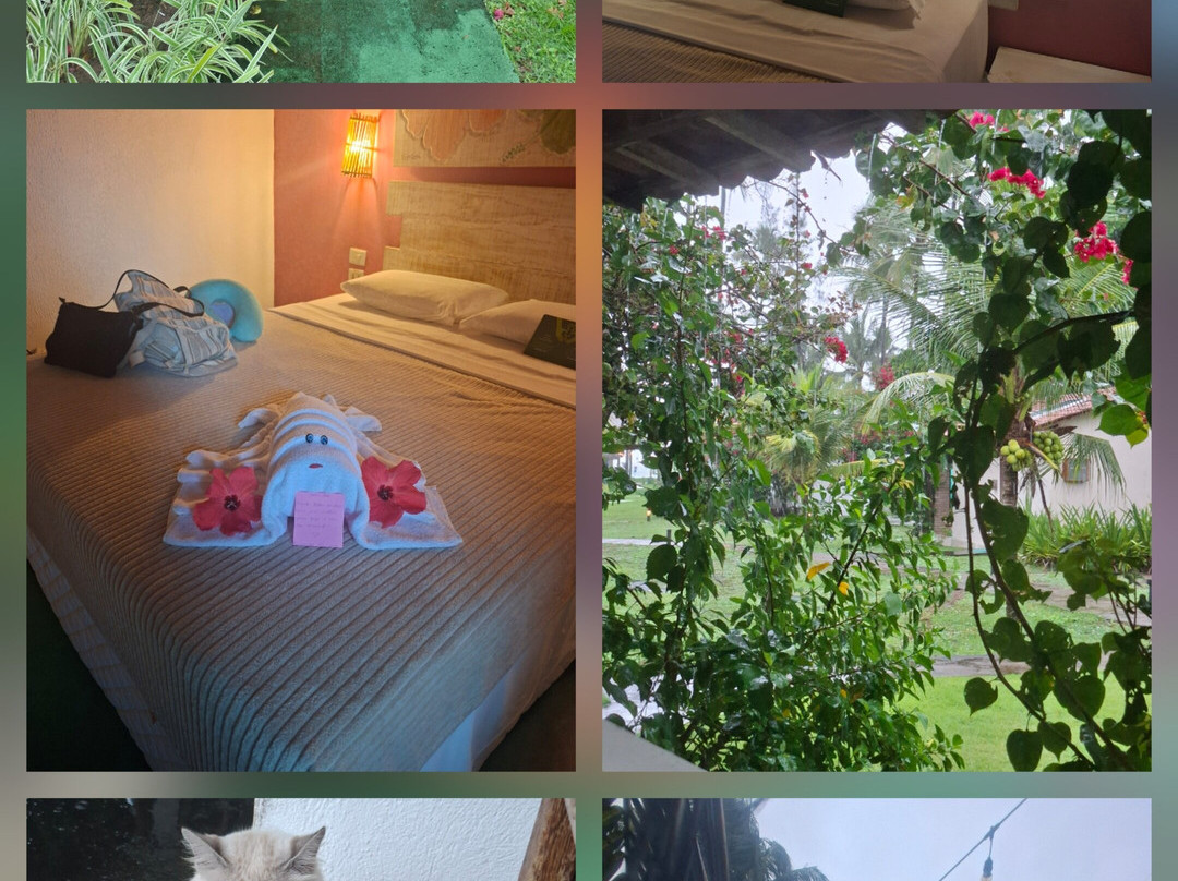 雅乐斯德德玛拉赛普旅馆主图