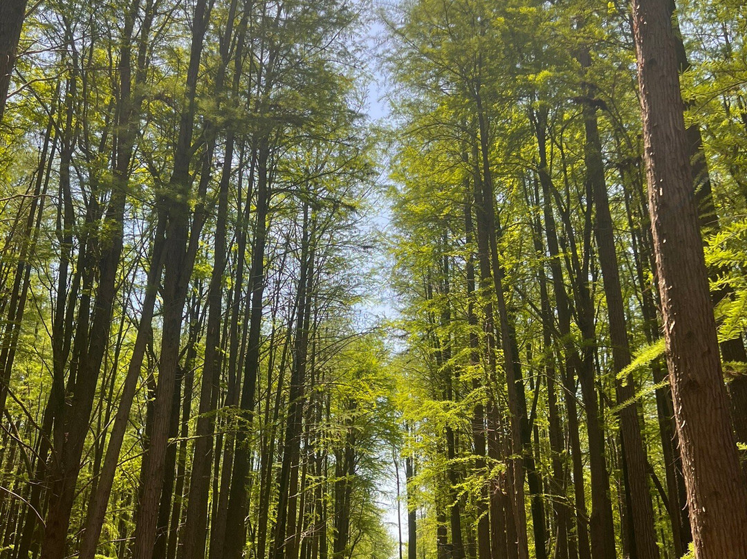青山湖-临安市必去景点