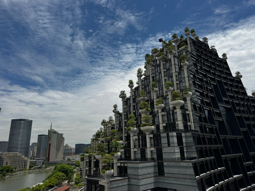 大洋晶典·天安千树